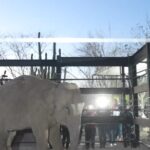 Bioparc Mazatlán, se proyecta como el santuario de vida silvestre más importante de Latinoamérica: Raúl Villavicencio