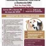 Habrá Campaña de Esterilización gratuita para perros mestizos y gatos en Culiacán