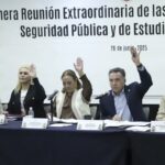 Aprobación de la nueva Ley General del Sistema Nacional de Seguridad Pública genera críticas de la oposición