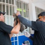 Con éxito y amplia participación se realizan campañas de salud y bienestar en Loma de Rodriguera