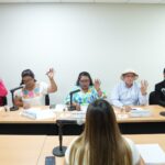 Comisión de Las Comunidades y Asuntos Indígenas analiza iniciativa sobre protección de centros ceremoniales y educación plurilingüe de pueblos originarios