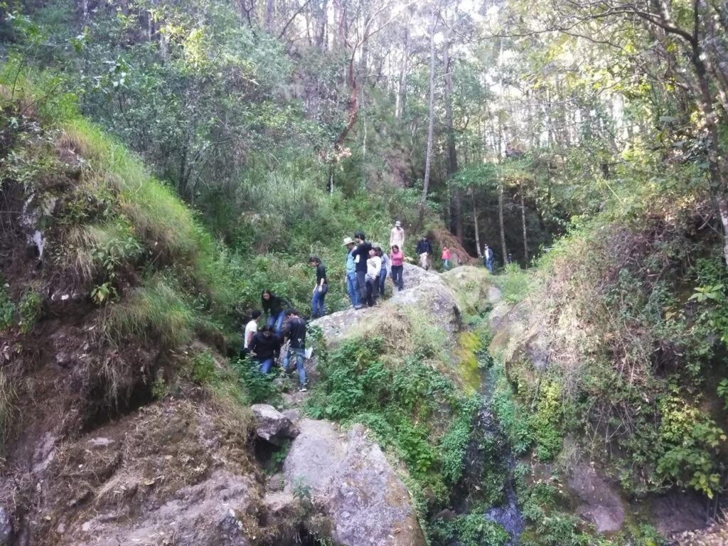 Durante las prácticas de campo, alumno de Biología de la UAS descubre nueva especie en Sinaloa; se trata del género Allacrotelsa