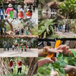 Jardín Botánico Culiacán ofrece curso de verano infantil en el que fomenta el amor y respeto por la naturaleza