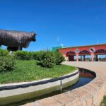 Sheinbaum abre la puerta a más oportunidades para el campo sinaloense