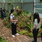 En septiembre, conoce y disfruta de las actividades especiales del Cacao en Jardín Botánico Culiacán