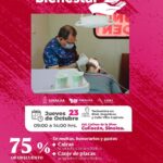 Aprovecha los descuentos en Adeudos Vehiculares en Culiacán, Sinaloa