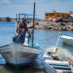 Sinaloa, entre las cinco entidades con mayor crecimiento económico en México en el primer semestre de 2025