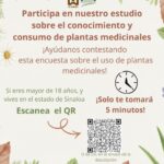 Realiza doctorando de la UAS proyecto de investigación sobre el uso de las plantas medicinales y los patrones de consumo de éstas en la población