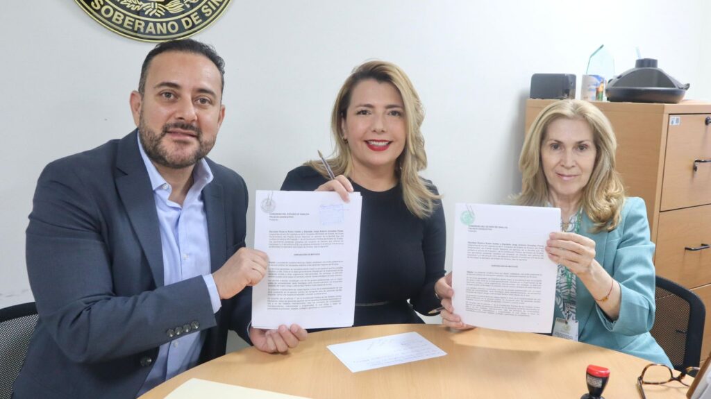 Diputados del PAN proponen tarifa preferente para adultos mayores en el transporte público