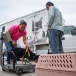 DIF Bienestar El Vallado mantiene campaña permanente de esterilización gratuita para perros y gatos