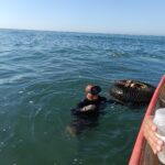 Previo a la “Feria del Ostión Celestino 2026”, COEPRISS refuerza controles en los moluscos y manipulación de alimentos.