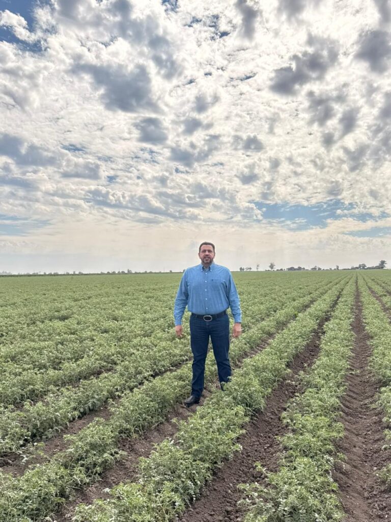 La calidad del garbanzo sinaloense, abre las puertas del mercado del medio oriente: Ismael Bello Esquuivel