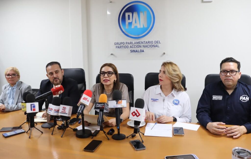 Reforma electoral pone en riesgo la libertad y la democracia del país: PAN