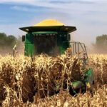 El campo de Sinaloa: Pilar económico bajo la presión del estrés hídrico y la volatilidad global; urge reconversión productiva ante el bajo nivel de presas