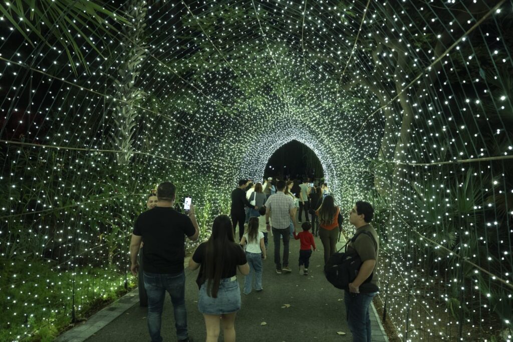 Últimos días para vivir la experiencia de Navidad en el Botánico