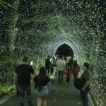 Últimos días para vivir la experiencia de Navidad en el Botánico