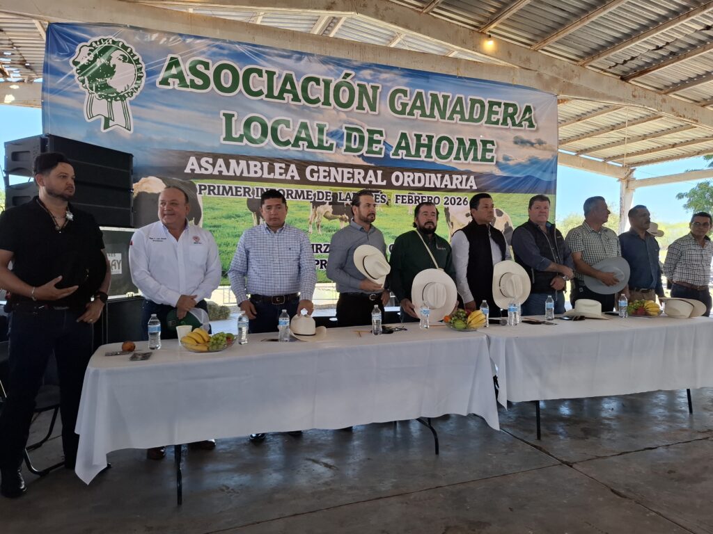 Ganaderos refuerzan unidad y agenda de apoyos en asambleas de Guasave, Guamúchil y Ahome