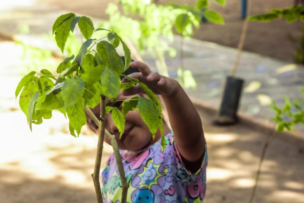 SEBIDES lleva alegría y conciencia ambiental a niñas y niños de Villa Juárez mediante la entrega de árboles