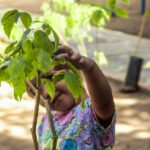 SEBIDES lleva alegría y conciencia ambiental a niñas y niños de Villa Juárez mediante la entrega de árboles