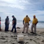 Dirección de Ecología y Protección Civil rescatan lobo marino herido en Playa El Caimanero.