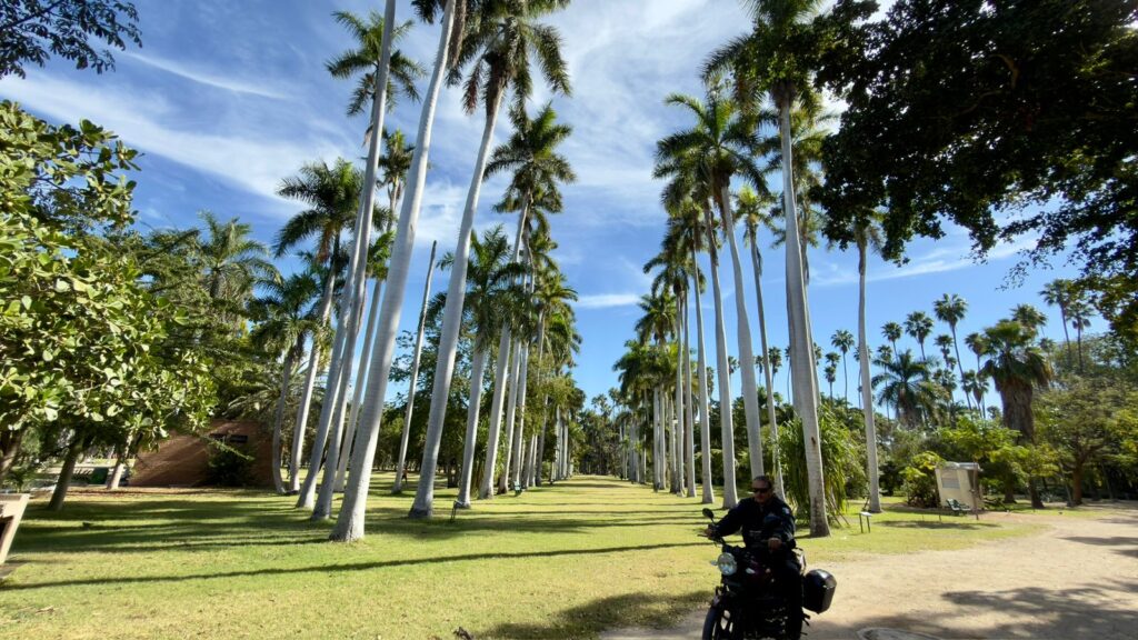 Así como nació el Parque Sinaloa, Mochis puede volver a hacer historia con un nuevo gran parque