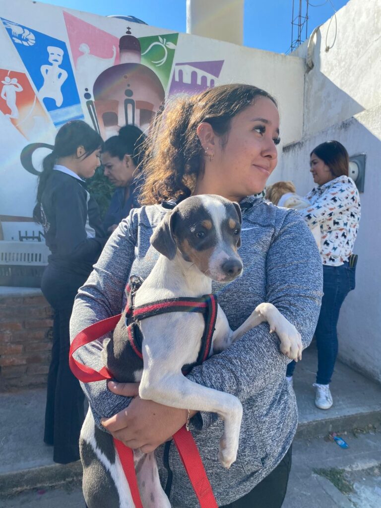 Gobierno de Rosario realiza campaña de esterilización gratuita en la colonia Calderón