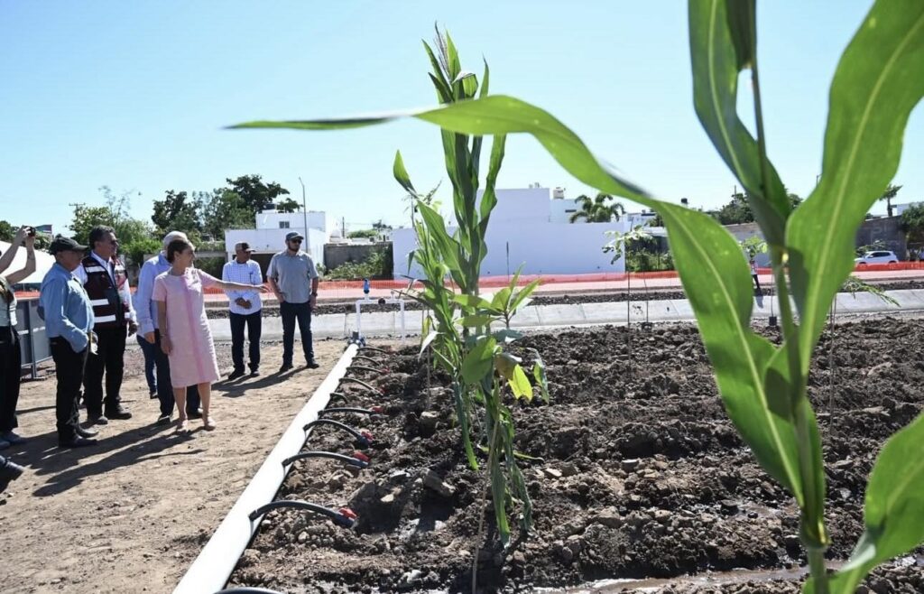 Visita de la Presidenta Sheinbaum reafirma su compromiso con Sinaloa: Ricardo Madrid.