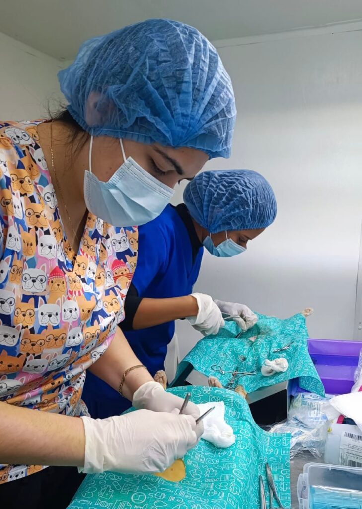 Camión esterilizador de mascotas recorre las colonias de la ciudad y zona rural con servicio gratuito