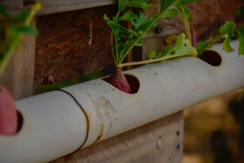 “Día Verde” reúne a comunidad escolar y autoridades en la Secundaria General No. 2 con proyectos a favor del medio ambiente.