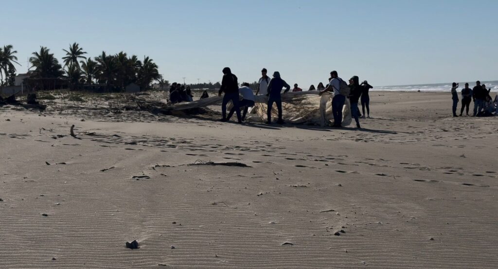 La juventud se une por la limpieza de playas en El Caimanero