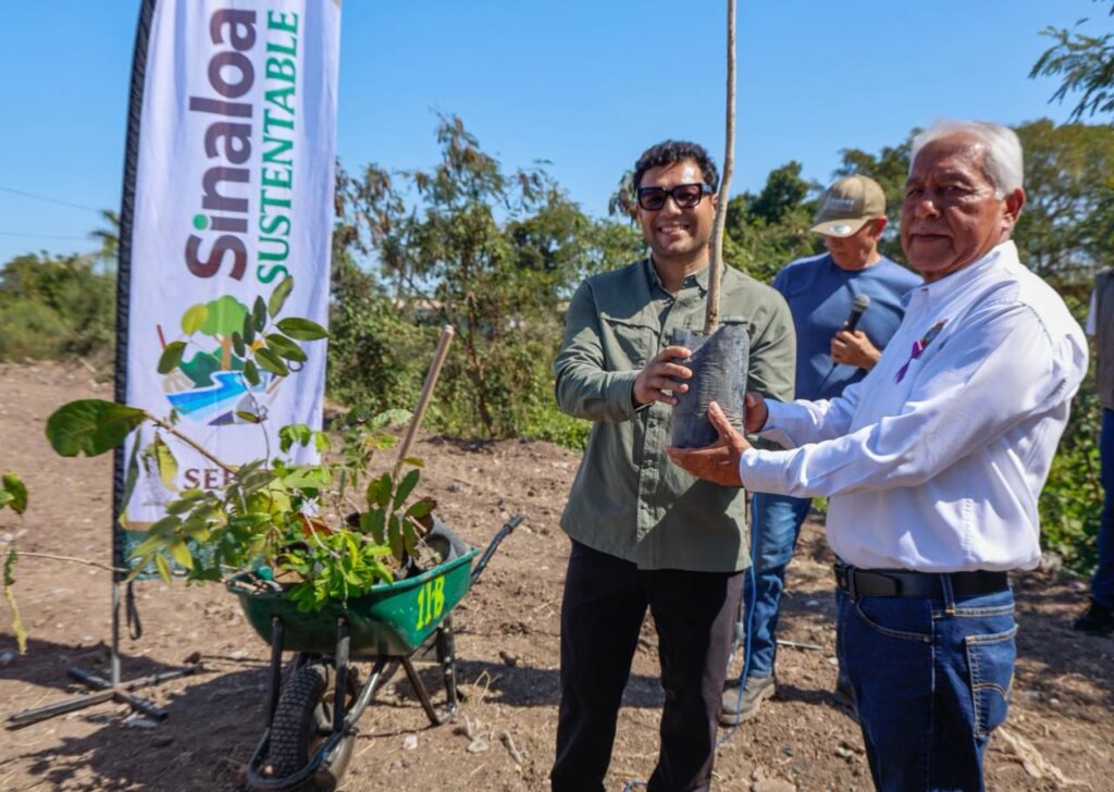 Eldorado reverdece: SEBIDES impulsa gran jornada de arborización con participación ciudadana