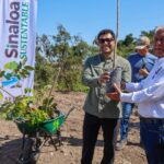 Eldorado reverdece: SEBIDES impulsa gran jornada de arborización con participación ciudadana