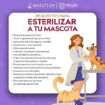 Llevará Gobierno de Mazatlán jornada gratuita de esterilización a Villa Unión