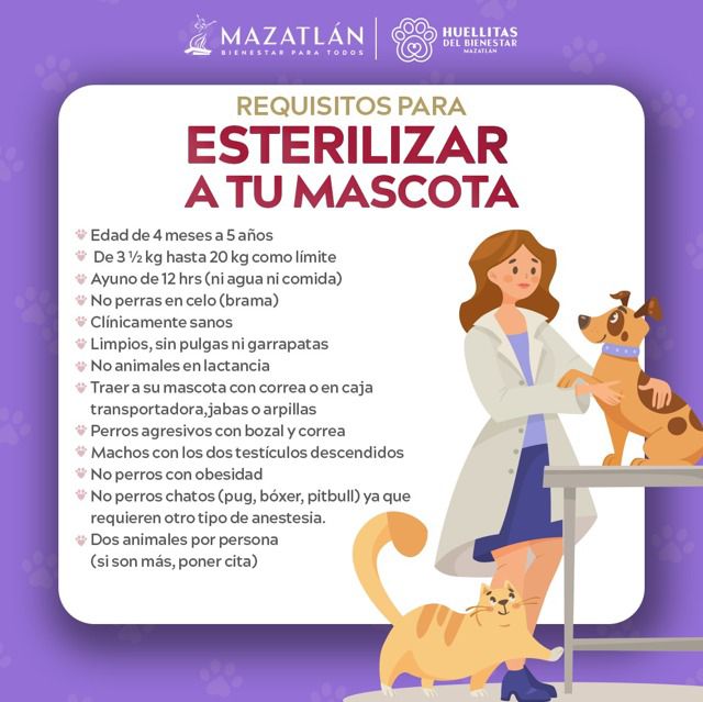 Llevará Gobierno de Mazatlán jornada gratuita de esterilización a Villa Unión