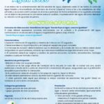 Invita JAPAMA a primarias y secundarias al concurso de videos para fomentar el cuidado del agua.