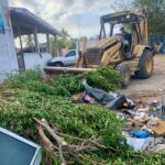 Mazatlán suma 42 toneladas de desechos recolectados en la 17va jornada de “Cuidemos los Manglares”: Estrella Palacios