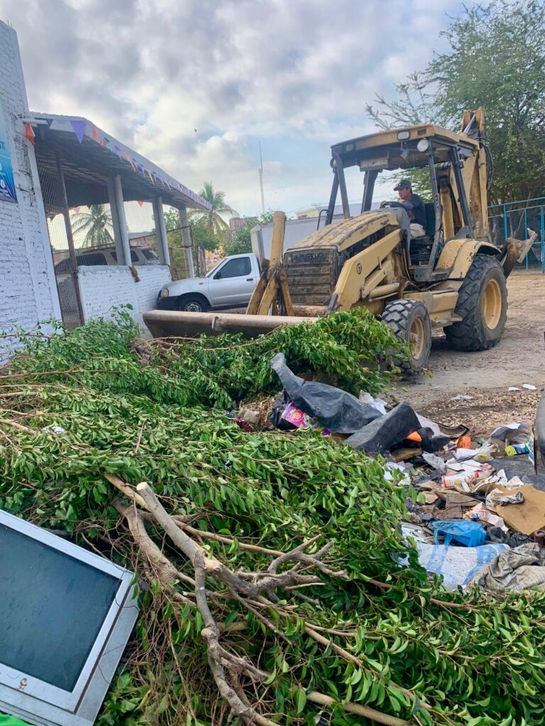 Mazatlán suma 42 toneladas de desechos recolectados en la 17va jornada de “Cuidemos los Manglares”: Estrella Palacios