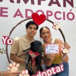 Fortalece Gobierno de Mazatlán el bienestar animal con 16va Jornada de Adopción y Esterilización