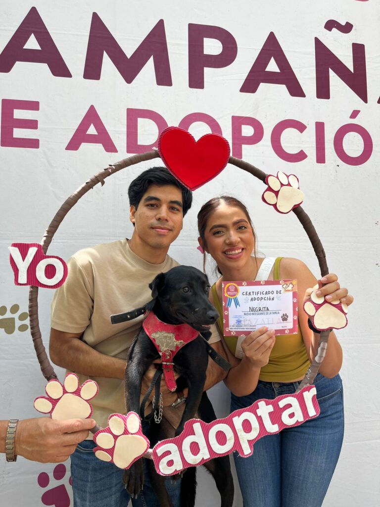 Fortalece Gobierno de Mazatlán el bienestar animal con 16va Jornada de Adopción y Esterilización
