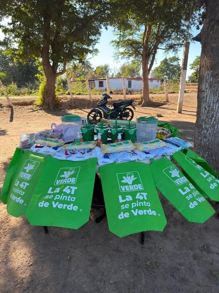 Partido Verde moverá brigadistas para cuidar el medio ambiente en semana santa