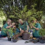 Recorridos nocturnos para conectar con la naturaleza, Cine al Aire Libre y literatura, los imperdibles de Marzo en Jardín Botánico Culiacán