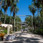 Inicia el Festival Consciente OASIS en el Jardín Botánico de Culiacán