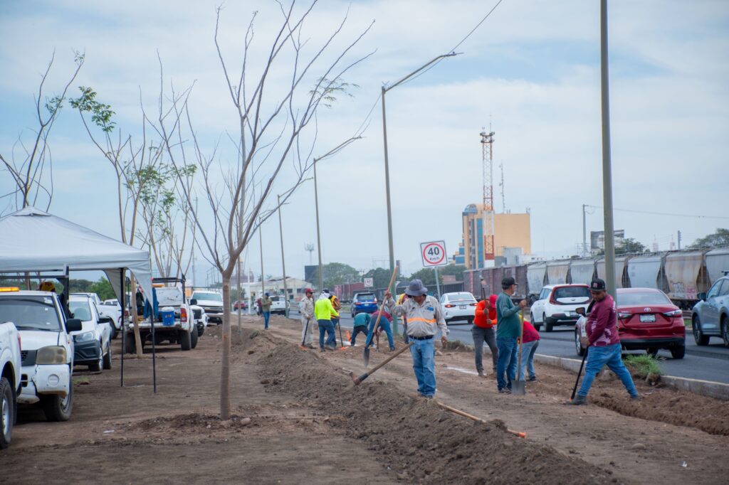 Avanza proyecto de infraestructura verde en el Eje Federalismo con instalación de sistema de riego por goteo