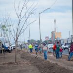 Avanza proyecto de infraestructura verde en el Eje Federalismo con instalación de sistema de riego por goteo