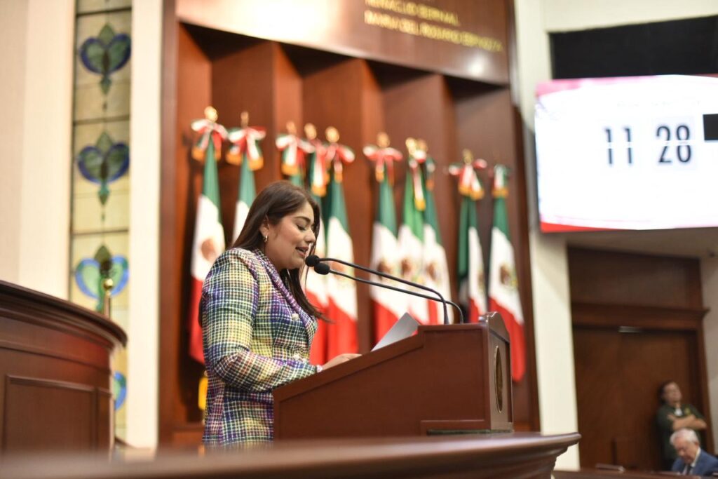 Urge una transformación estructural del transporte público: Moncerrat López