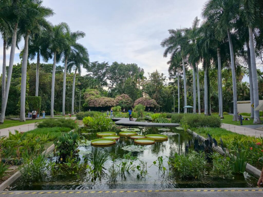 Gobierno estatal refuerza acciones para mejorar el Jardín Botánico y el Parque Ecológico de Culiacán