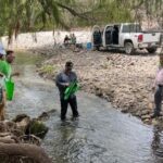 Cero Basura con el Verde recorrió más de 130 km de playa esta SS2026