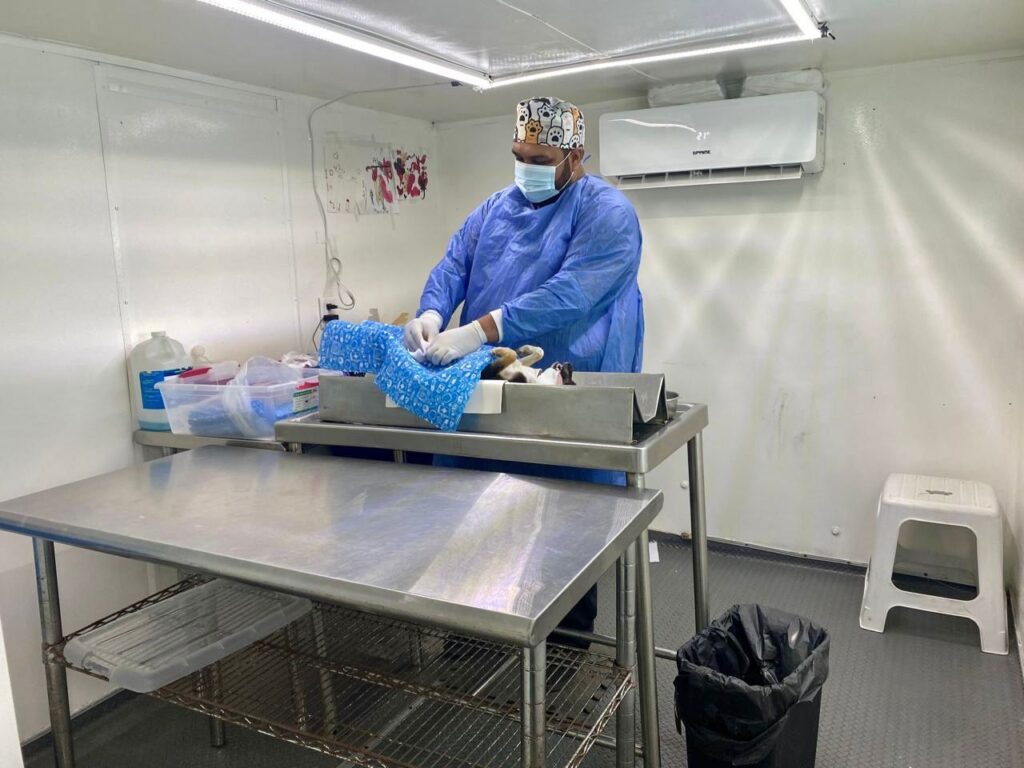 Atiende Gobierno de Mazatlán solicitud ciudadana con jornada de esterilización en la colonia Buenos Aires