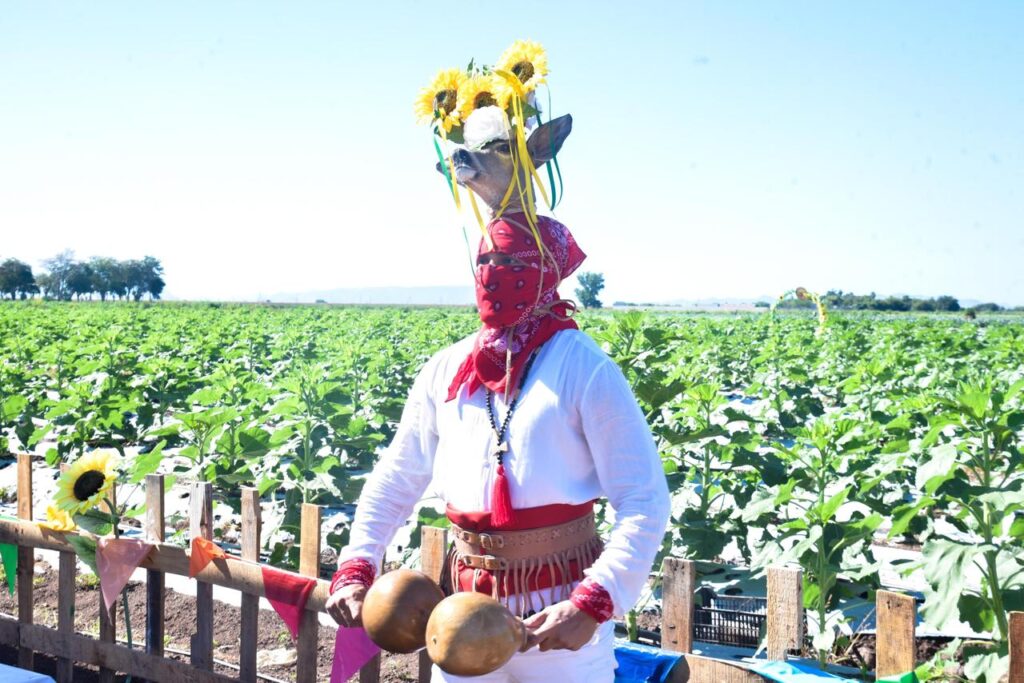 “Ahome Florece” es un nuevo producto turístico para Los Mochis.
