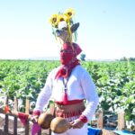 “Ahome Florece” es un nuevo producto turístico para Los Mochis.